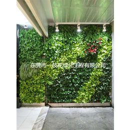 东莞市一枝花绿化工程(图)-艺术植物墙工程承包-艺术植物墙