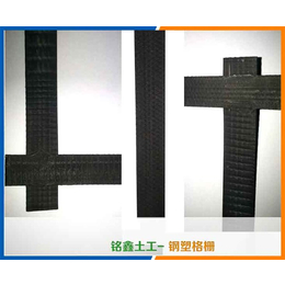 山东铭鑫工程材料(多图)-钢塑土工格栅出售-台湾钢塑土工格栅