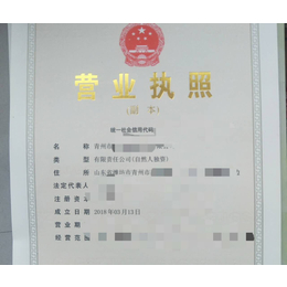 青州公司注册年检变更缩略图