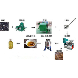 大豆螺旋榨油机的出油率,启航机械,螺旋榨油机