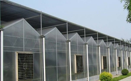 齐鑫温室园艺、阳光板温室大棚、农业阳光板温室大棚