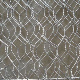 天阔筛网|铅丝石笼网|铅丝石笼网优点