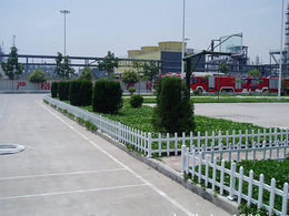 重庆绿化带草坪围栏-安平县领辰-绿化带草坪围栏厂家