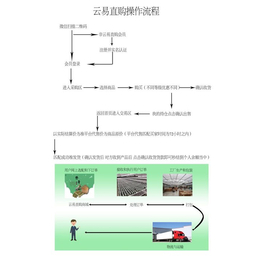 云易直购招商热线_汉阳区云易直购_卓睿购科技公司(查看)