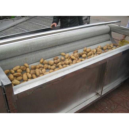 甘肃土豆清洗机、诸城鼎迅机械、土豆清洗机产量