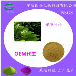 供应 布渣叶提取物 布渣叶粉 药食同源 OEM代工产