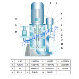 和田250WFB-CD3立式自吸泵-石保泵业(在线咨询)