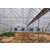 鑫华生态农业(在线咨询)、营口温室、温室大棚缩略图1