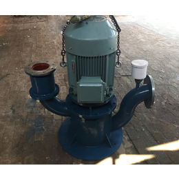 无堵塞立式自吸泵-南京65WFB-F自吸排污泵价格