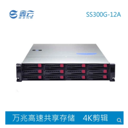 鑫云SS300G-12A万兆光纤影视4K编辑共享磁盘阵列缩略图