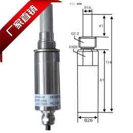 罗卓尼克湿度探头传感器HC2-DP两路模拟输出包邮