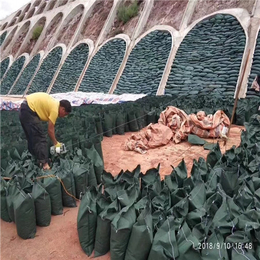 护坡植草绿化生态袋-生态袋-绿化植草袋批量供应