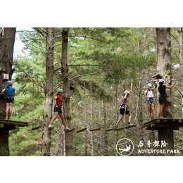 历奇探险-树上探险乐园-冒险树丛林穿越