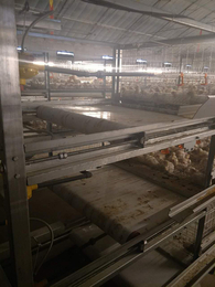 运盈机械鸡笼加工厂(图)-四层蛋鸡笼子图片-辽宁鸡笼子