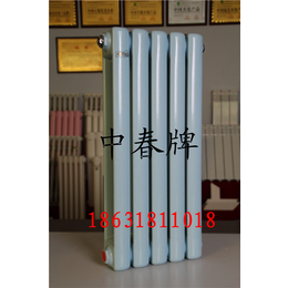 钢二柱暖气片、中春暖通、椭圆管钢二柱暖气片缩略图