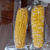 厂销云南水果玉米袋 甜玉米包装袋 糯玉米真空袋等缩略图1