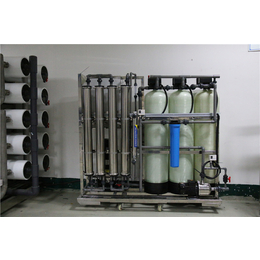 苏州超纯水设备食品饮料生产纯水设备苏州水处理耗材跟换.