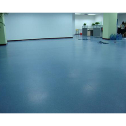 塑胶地板价格-垣曲塑胶地板-博森达弹性地板(查看)