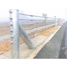 河南河道缆索护栏,威友丝网,河道缆索护栏尺寸