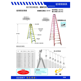 化工用玻璃钢双侧梯 金锚双侧梯批发