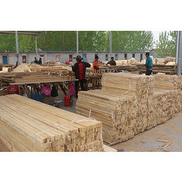 工程用铁杉建筑木材、岚山铁杉建筑木材、旺源木业有限公司(图)