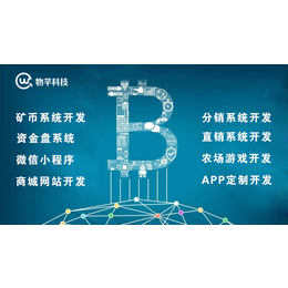 哪个*软件开发公司好南宁定制*系统开发