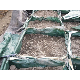 生态袋护坡绿化、鑫宇土工材料(在线咨询)、生态袋护坡