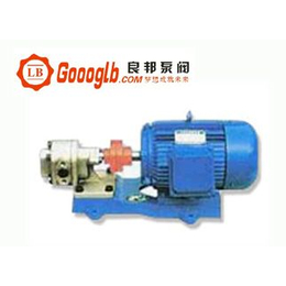 KCB.2CY型不锈钢齿轮油泵www.goooglb*