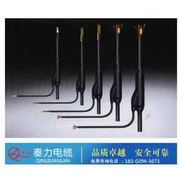 渭南预分支电缆,陕西电缆厂,预分支电缆型号