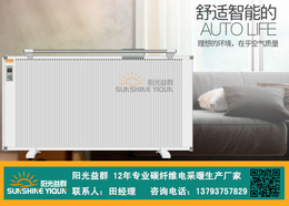 济宁阳光益群(图)-壁挂电暖气厂家-滨州壁挂电暖气