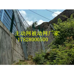 贵州清镇钢丝绳被动防护网RXI150厂家*缩略图