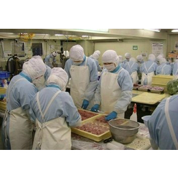 出国打工月薪三万 澳大利亚全国招聘食品厂服装厂操作工