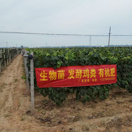 生物菌发酵鸡粪,优源有机肥(在线咨询),泰安发酵鸡粪