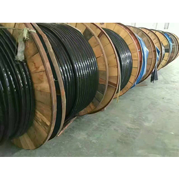 随州高压电缆-重庆欧之联电缆有限公司-高压电缆厂家
