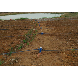 微喷带管件|微喷带|格莱欧节水灌溉(查看)