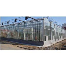 南阳玻璃温室|玻璃温室大棚建设|安阳盛丰温室工程(****商家)
