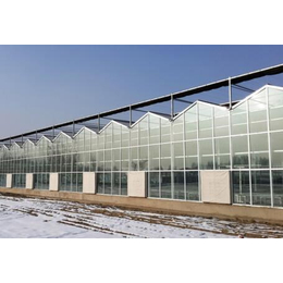雅安温室、鑫华生态农业科技发展、玻璃温室