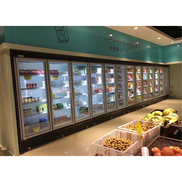 比斯特厂家*定制(图)、组合超市冷冻柜定制、长沙超市冷冻柜