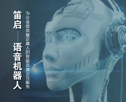 智能语音机器人-安徽笛启智能科技-湖南语音机器人