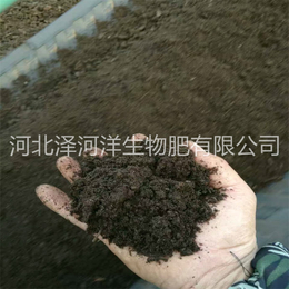 承德营养土有机肥_泽河洋生物肥_营养土有机肥哪里有卖