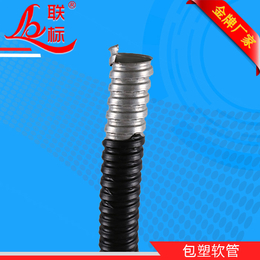 金属(图)|电线保护蛇皮管|蛇皮管