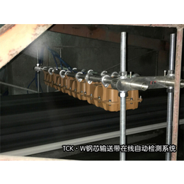 河南钢芯皮带检测仪,【威尔若普】,郑州钢芯皮带检测仪设备缩略图