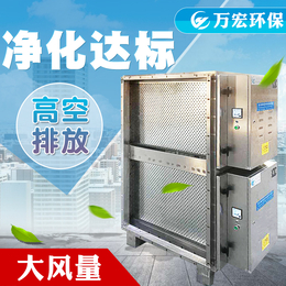 广州静电油烟处理器 ****厨房油烟处理净化设备 10000风量