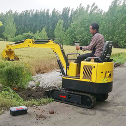 山东汇鹏小型挖掘机 10型小挖机 农业果园挖土*小挖机