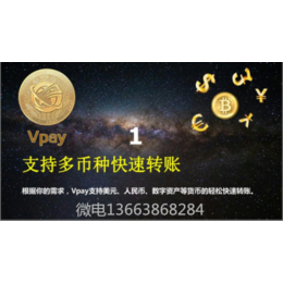 Vpay钱包系统开发Vpay*代币发行源码开发　