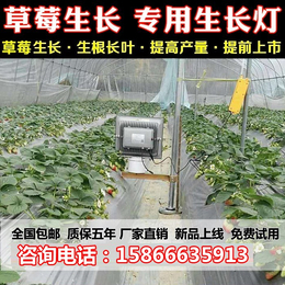 led植物灯厂家|金昌植物灯|植物生长灯(查看)