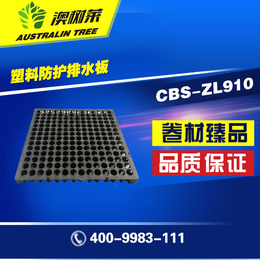 CBS-ZL910 塑料防护排水板-厂家*