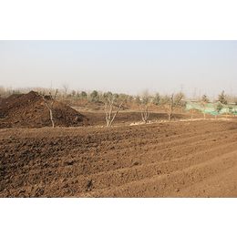 土杂肥厂家|土杂肥|日照有机肥原料加工