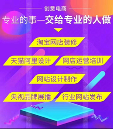 泰兴淘宝装修天猫设计主图详情页设计天猫京东代入驻