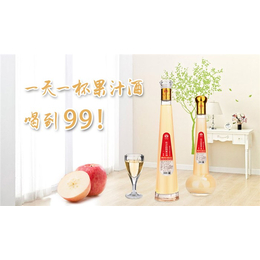 鹤壁鲜榨果汁酒-广东华子龙-鲜榨果汁酒价格